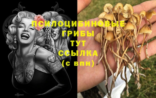 стаф Волосово