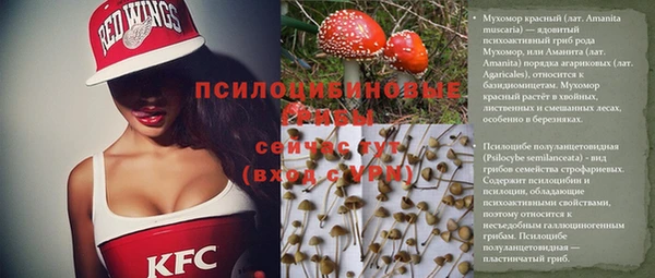 стаф Волосово