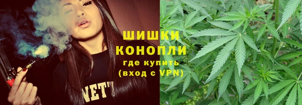 стаф Волосово